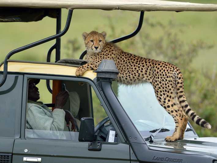 9 Days Kenya Luxury & Comfortable Safari