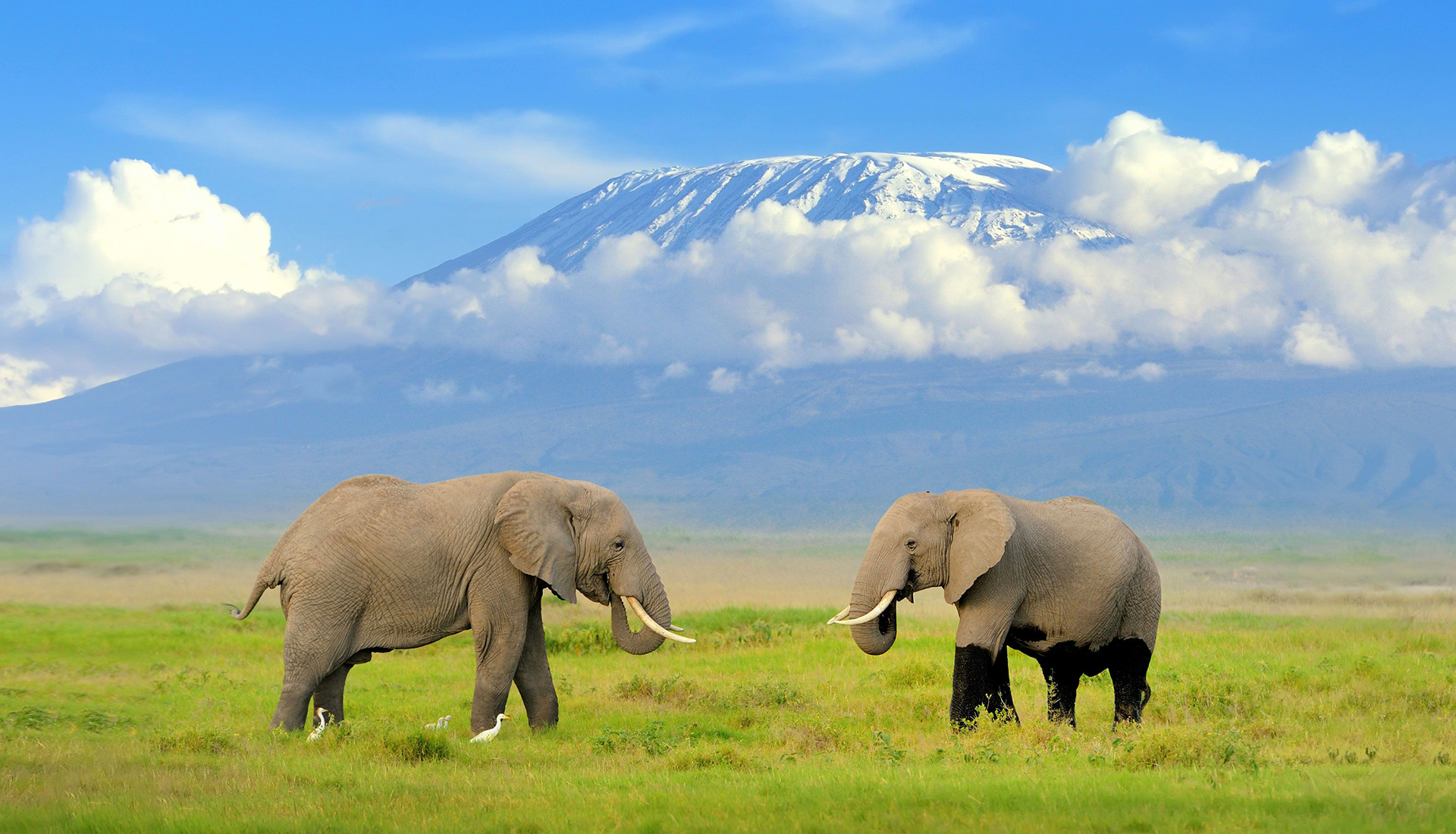 7 Days 6 Nights Classic Kenya Safari