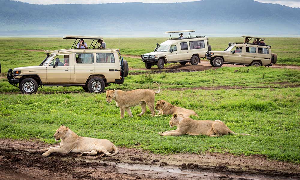 2 Days Tanzania Safari to the Ngorongoro Crater