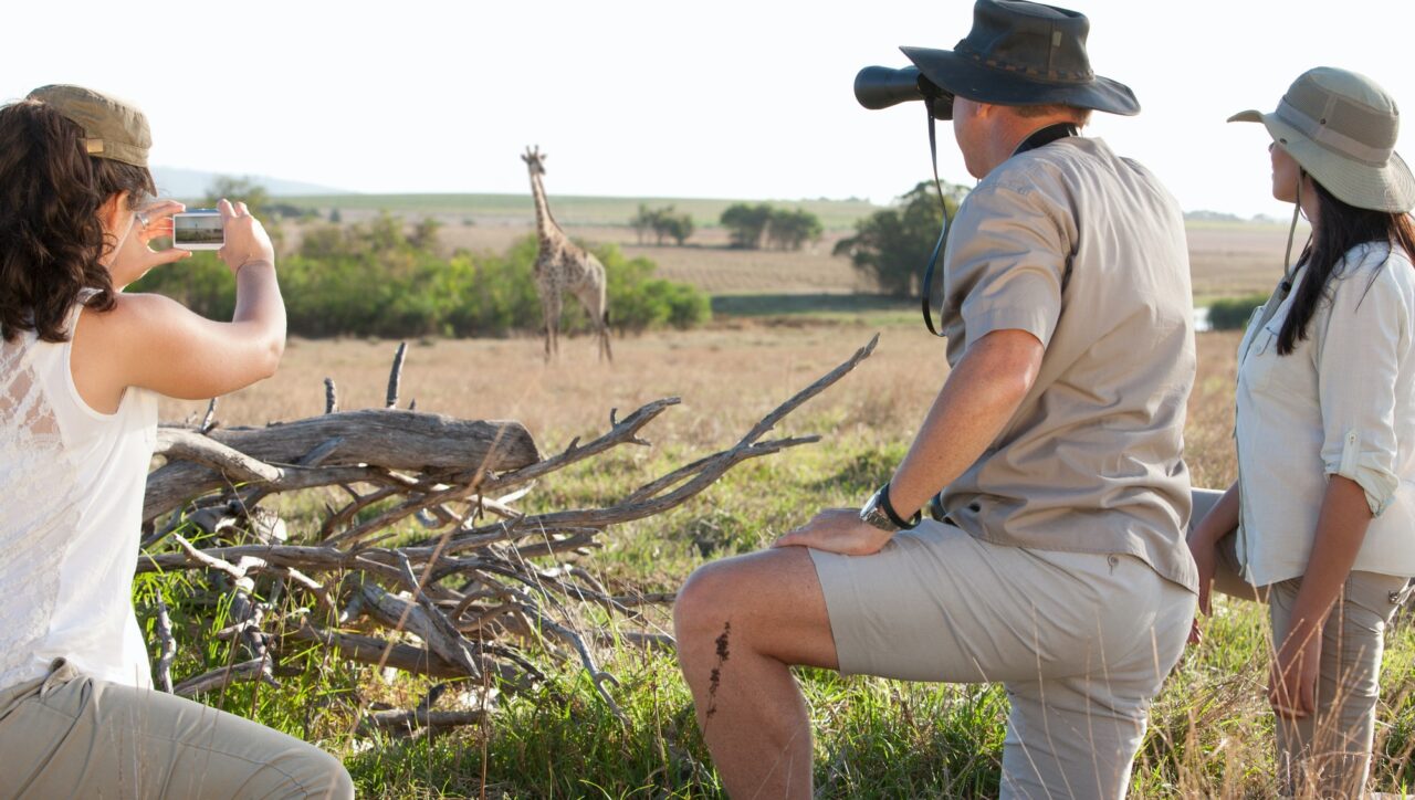 People photographing wildlife on safari, Stellenbosch, South Africa