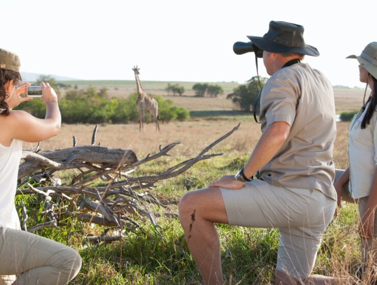 People photographing wildlife on safari, Stellenbosch, South Africa