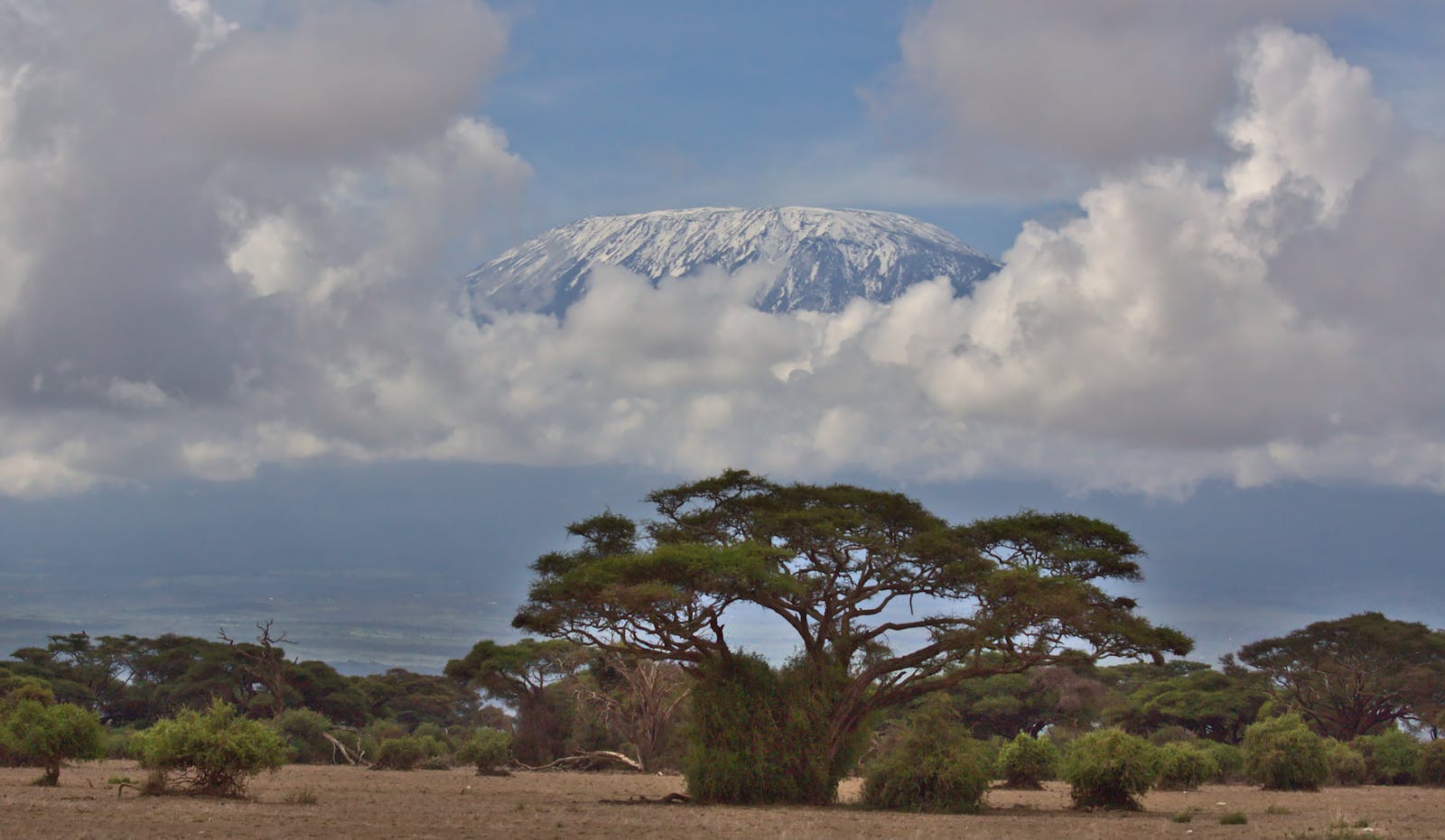 Landscape with Trees and Snowcapped Mountain in Clouds