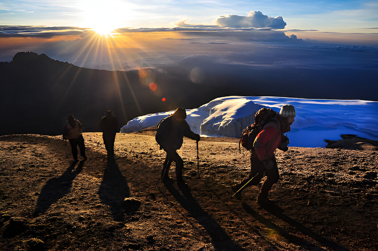 7 Days 6 Nights Rongai Route Kilimanjaro Trekking